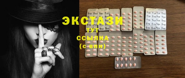 стафф Арсеньев