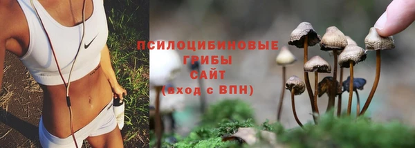 гидра Армянск